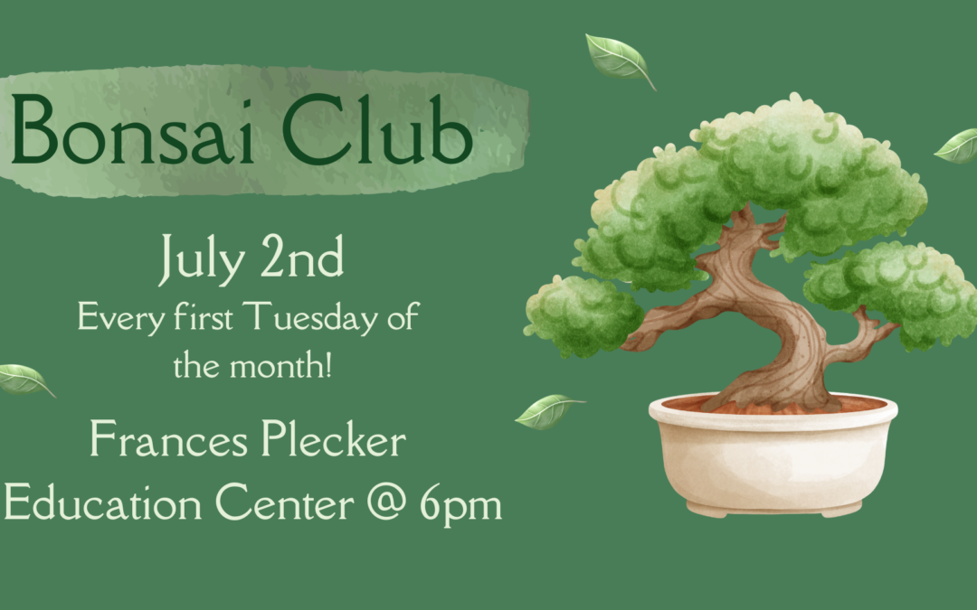 Bonsai Club Meeting