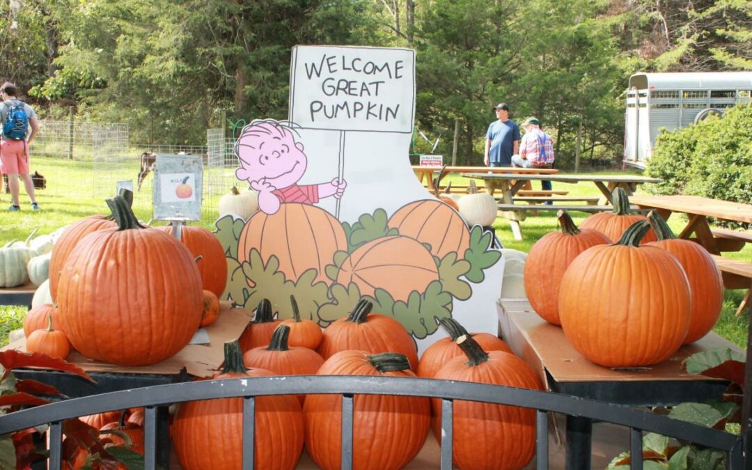 Virginia Pumpkin Festival