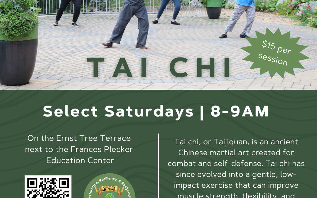 Tai Chi