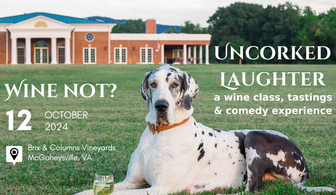 Uncorked Laughter ~ a wine class, tastings + comedy!