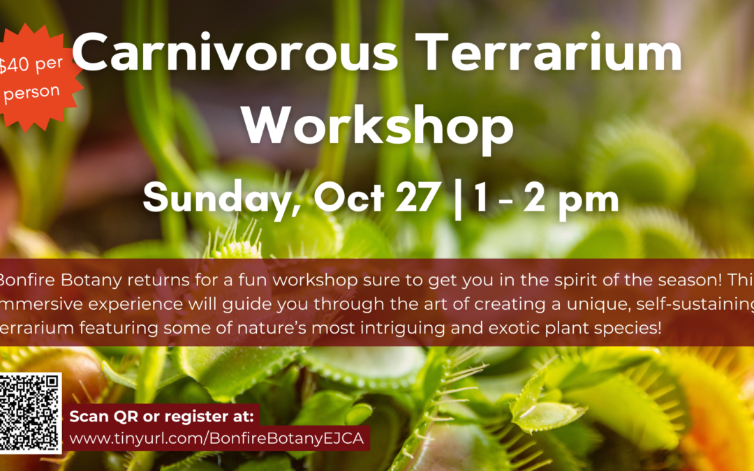 Carnivorous Terrarium Workshop