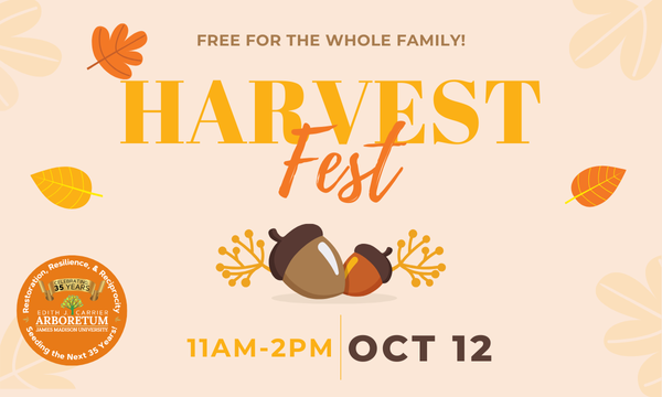 16th Annual Harvest Festival