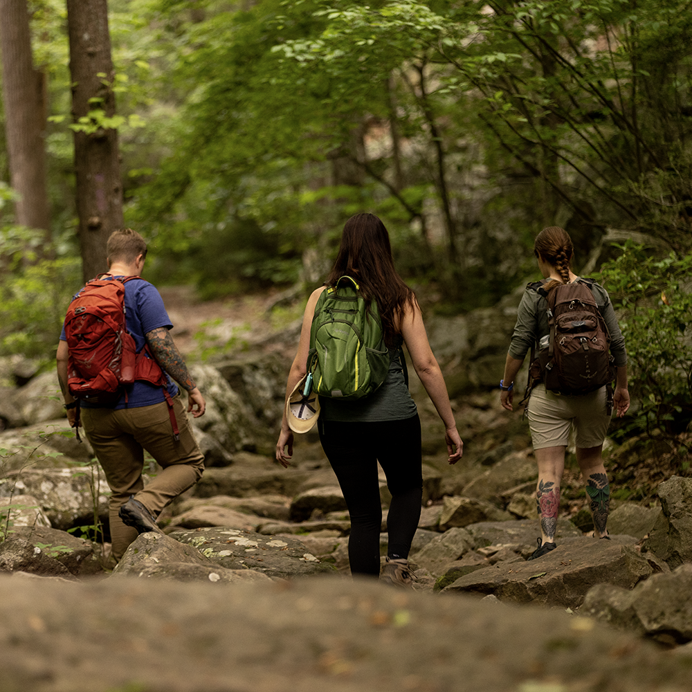 220610_VisitHarrisonburg_205_square