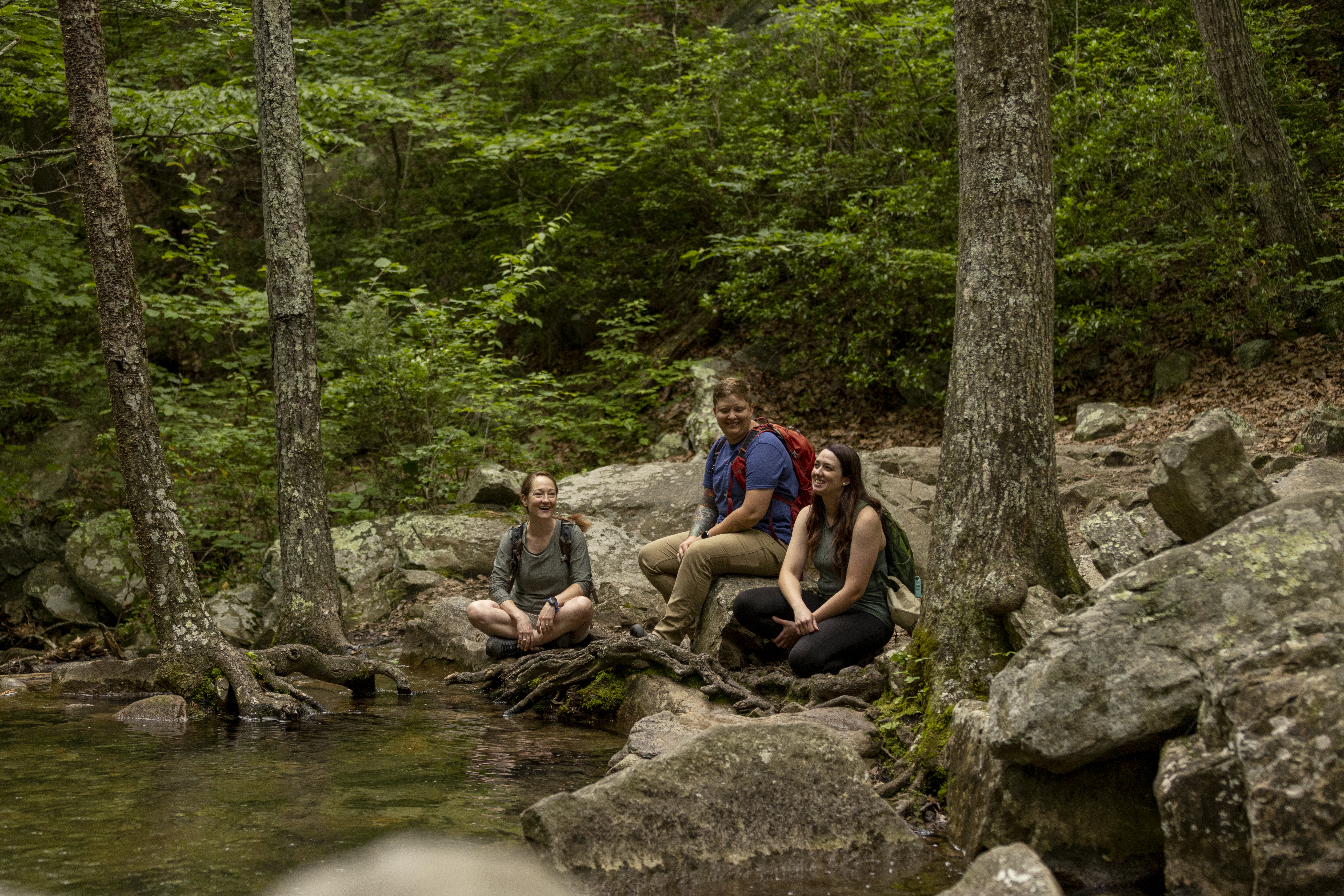 Three people sitting next to water in the woods