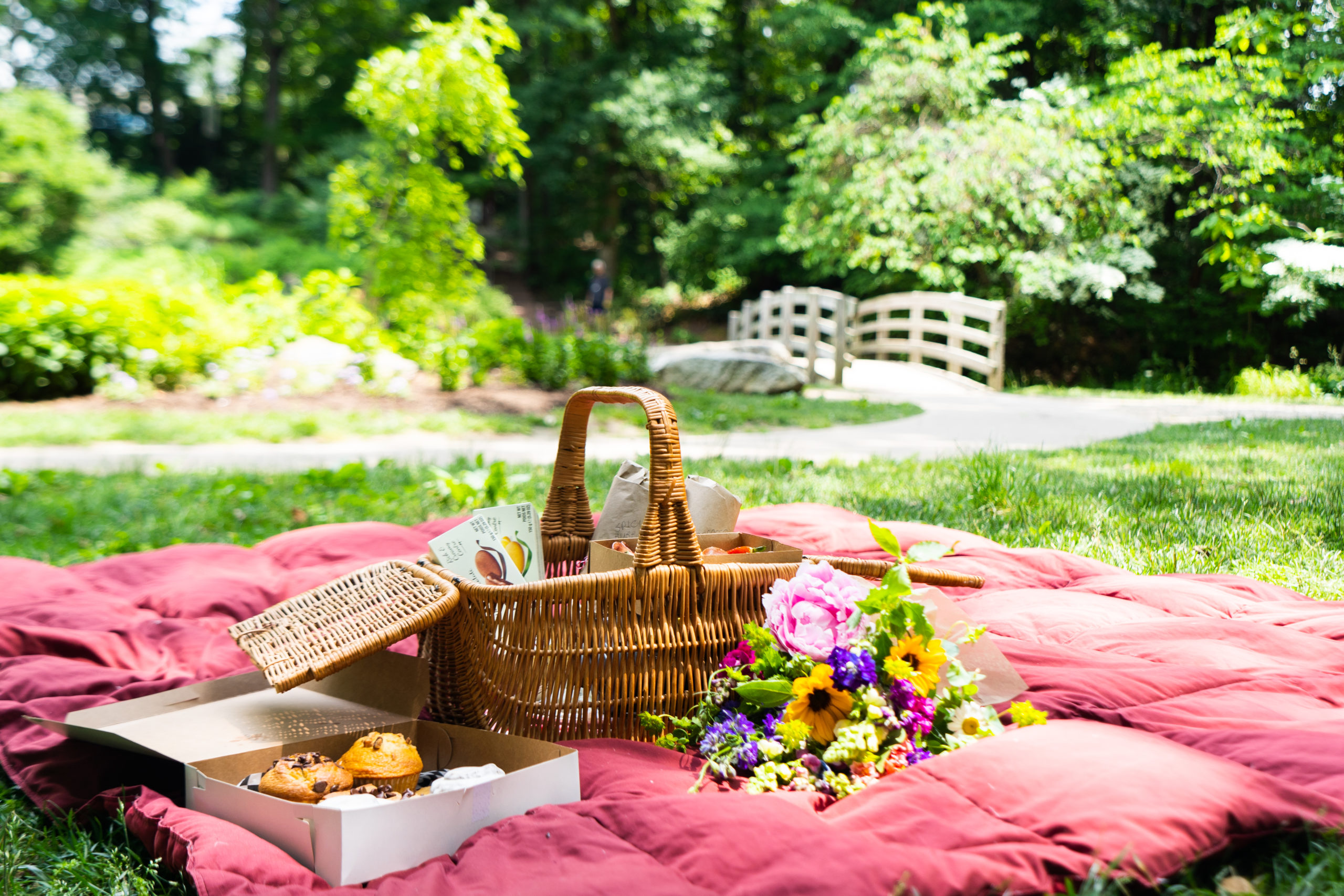 327727-Photos-of-Harrisonburg-Tourism-Picnic-in-Edith-J.-Carrier-Arboretum-1003-scaled