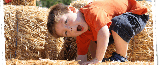 Back Home on the Farm