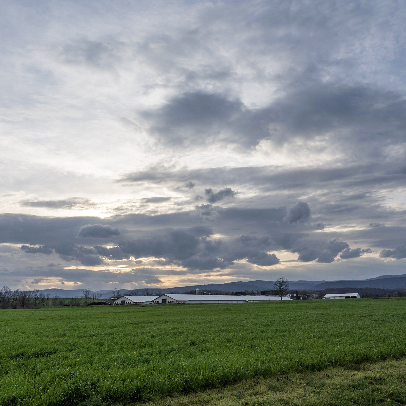 Bridgewater Ride 2_square