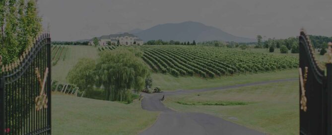 CrossKeys Vineyards