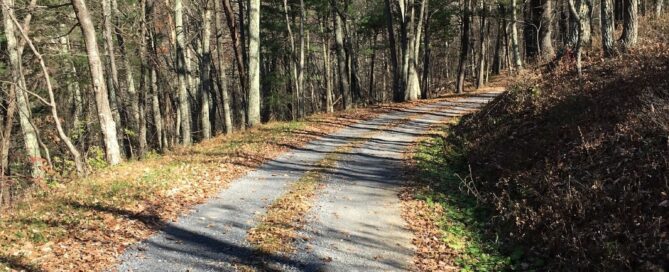 Madison Run Fire Road