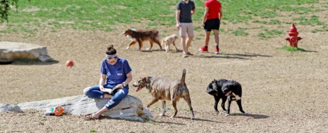 Smithland Road Dog Park