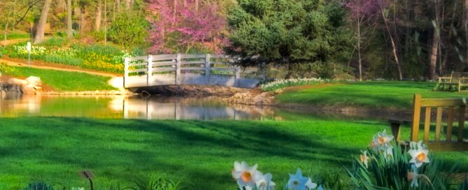Spring at the Arboretum