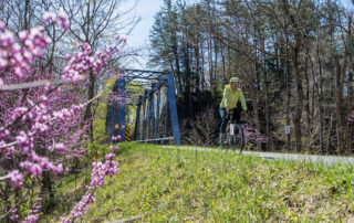 Cyclist on road with at bridge behind them
