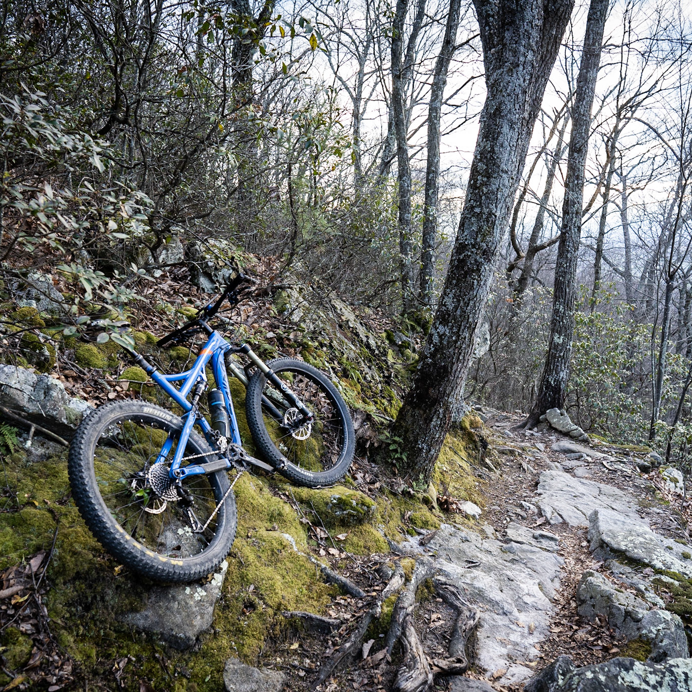 Western Slope 3_square