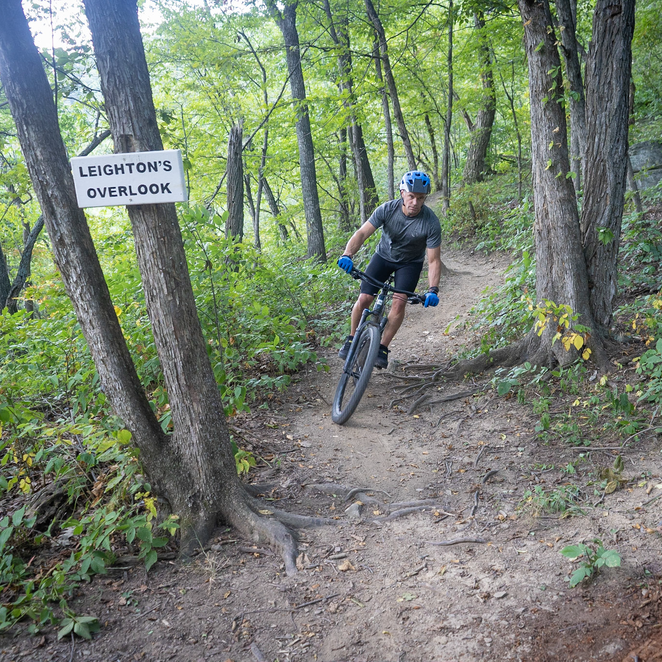 Western Slope 6_square