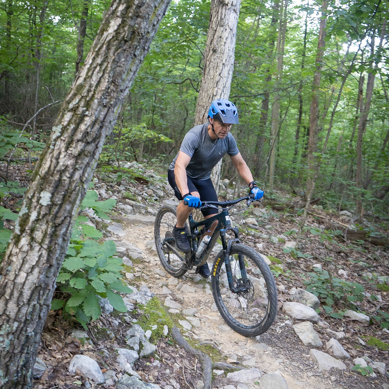 Western Slope Bike Rider 1_square
