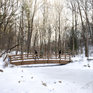 Snow covered pond with bridge at the Edith J. Carrier Arboretum