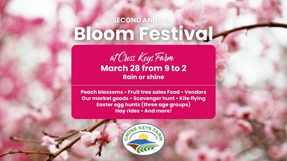Bloom Festival - Harrisonburg