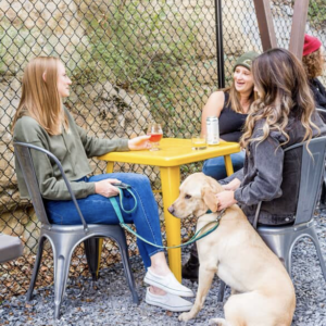 Three people and a dog sitting at a yellow table in the patio area of Sage Bird