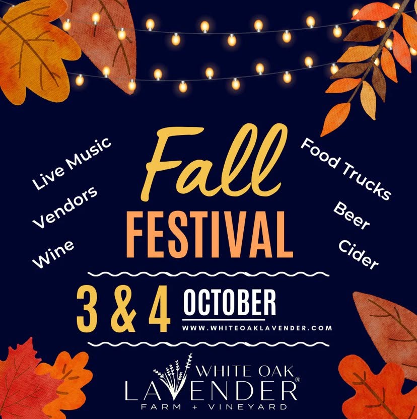 Fall Festival