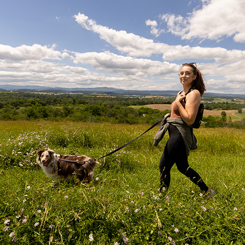 Woman walking a dog on a sunny day